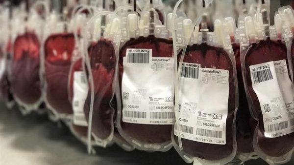 Extremadura, la comunidad que más sangre donó en relación con su población, en 2017