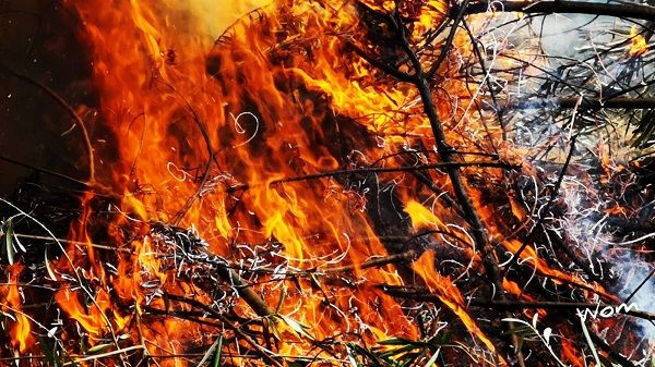 El Infoex destaca el incendio forestal de Viandar entre los 34 de la pasada semana en la región