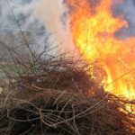 Importantes cambios para la quema de residuos agrarios y silvícolas