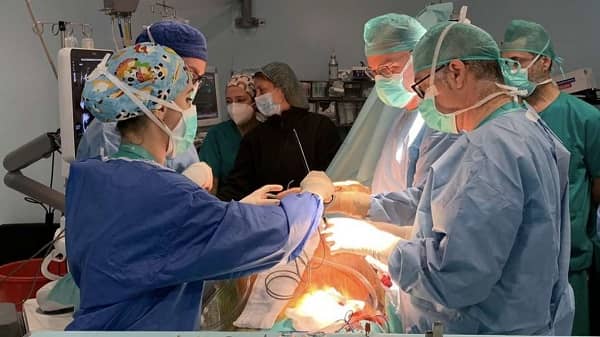 Cirugía Cardiovascular del HUB realiza  por primera vez en Extremadura una nueva técnica reparadora