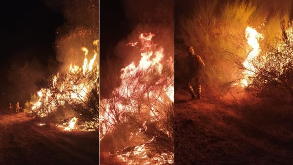 Estabilizado el incendio de Villanueva pero con riesgo de reproducciones debido al viento