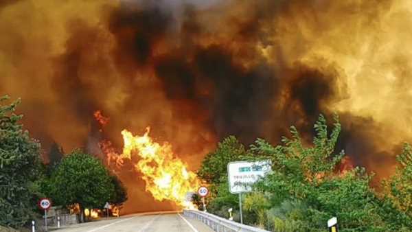 Aprobadas las ayudas para las zonas afectadas por incendios forestales