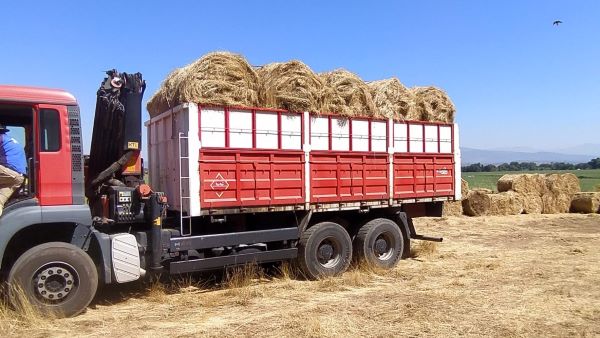 Diputación entrega 16.170 kilos de heno para ganaderos afectados por el incendio en Villanueva