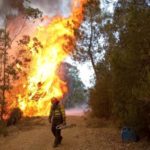 Riesgo “muy alto” y “extremo” de incendios en Extremadura durante esta semana