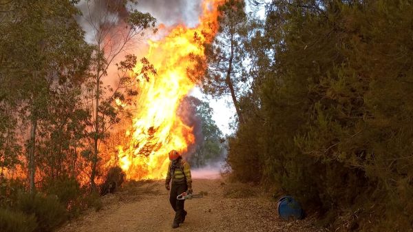 Plan de Actuación Urgente para las 398,23 ha de Monfragüe incendiadas este verano