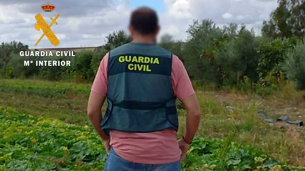La Guardia Civil detiene a un grupo delictivo por el presunto robo de 900 kg de sandías, 150 de melones, 100 de cebollas y 30 de berenjenas