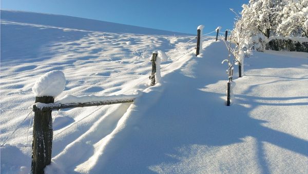 ALERTA por nieve y viento en el norte cacereño y por viento en zona de Villuercas y Montánchez
