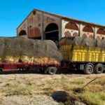 73 toneladas de heno para la ganadería de los pueblos afectados por el incendio