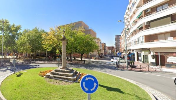 plantas ornamentales