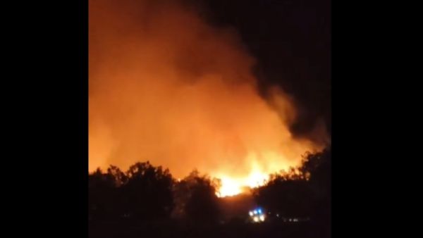 nuevo incendio forestal