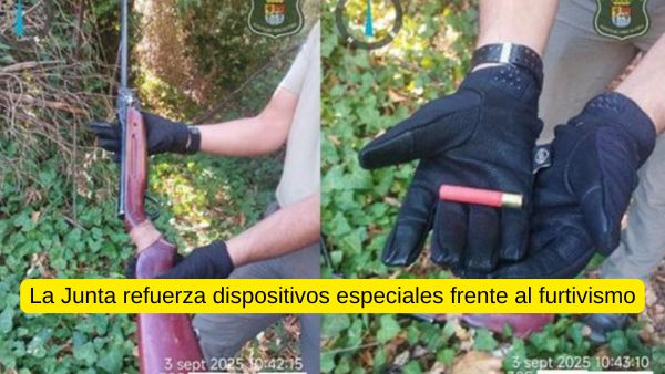 dispositivos especiales