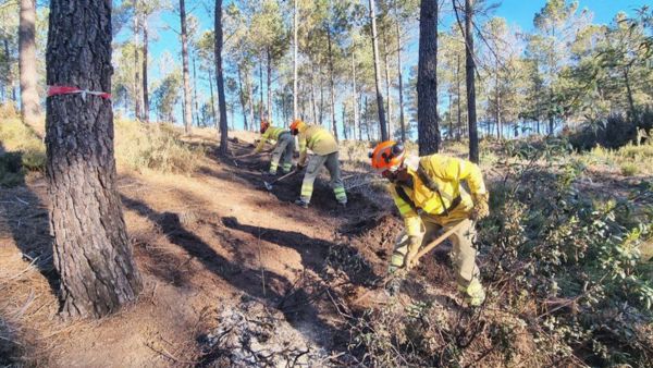 bomberos forestales