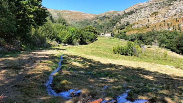 comunidad de regantes