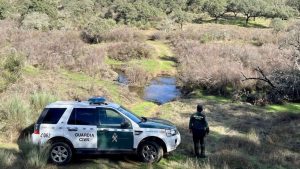 localizan desorientadas