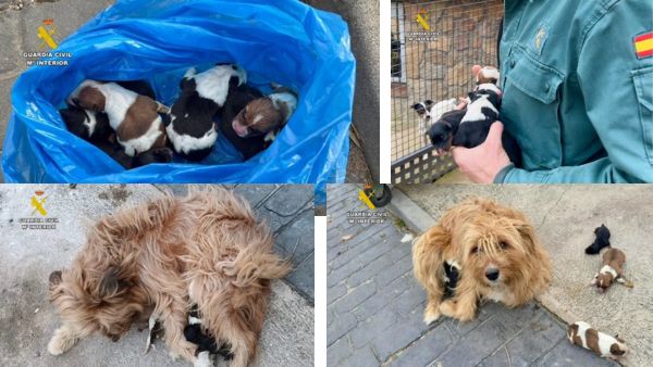 contenedor de la basura