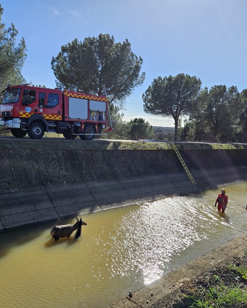 bomberos del sepei
