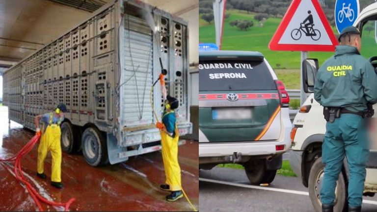 limpieza y desinfección