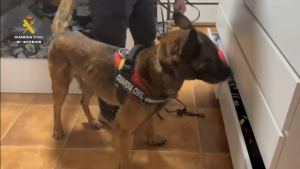 decretan ingreso en prisión