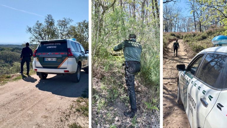 colaboración ciudadana