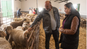 ganaderos y ganaderas