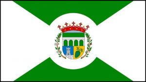 bandera oficial