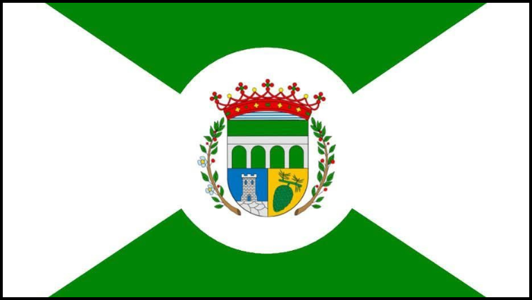 bandera oficial