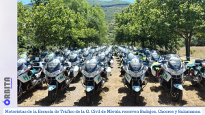 motoristas