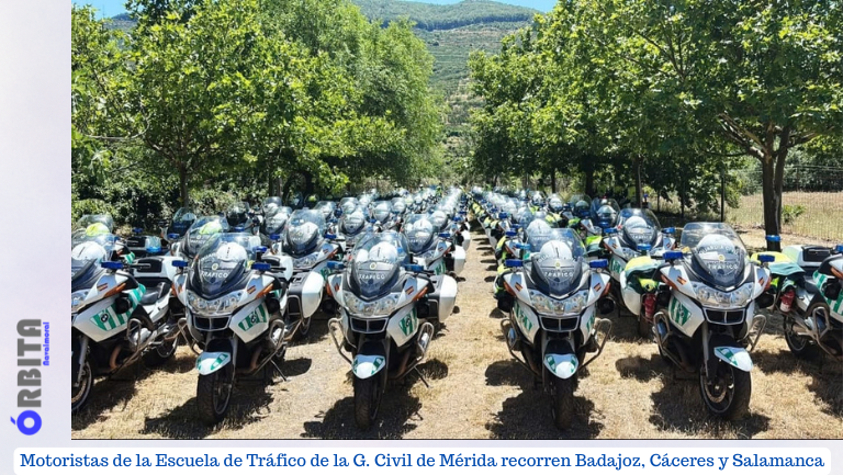 motoristas