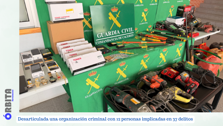 organización