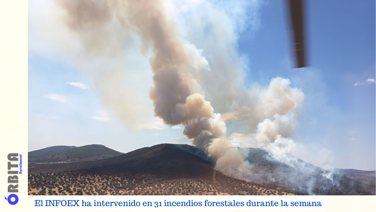 el infoex