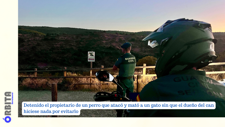 propietario de un perro