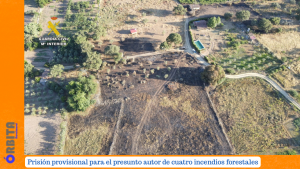cuatro incendios forestales