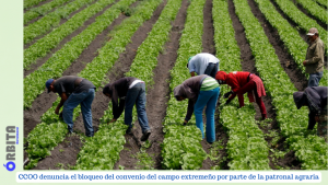 convenio del campo