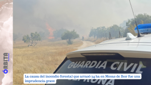 imprudencia grave