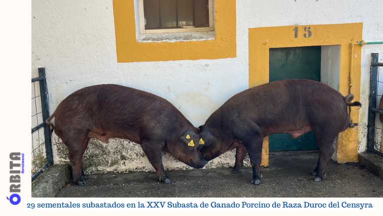 la subasta