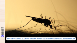 nilo occidental