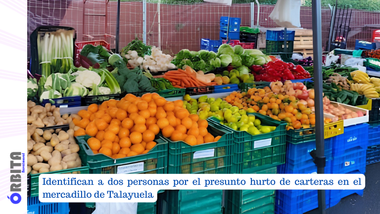 mercadillo de talayuela