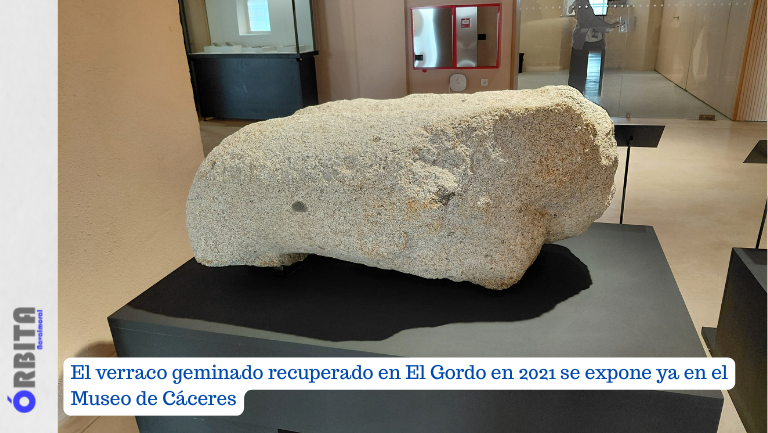 verraco geminado