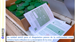enfermedad renal crónica
