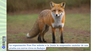 free fox