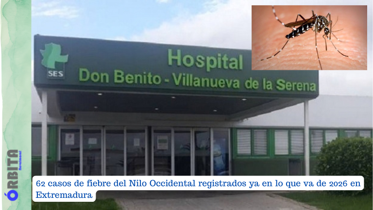 62 casos