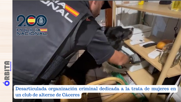 desarticulada