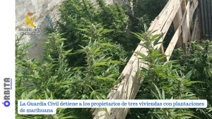 plantaciones