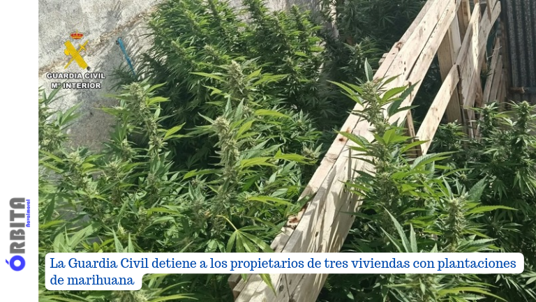 plantaciones