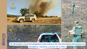 un detenido